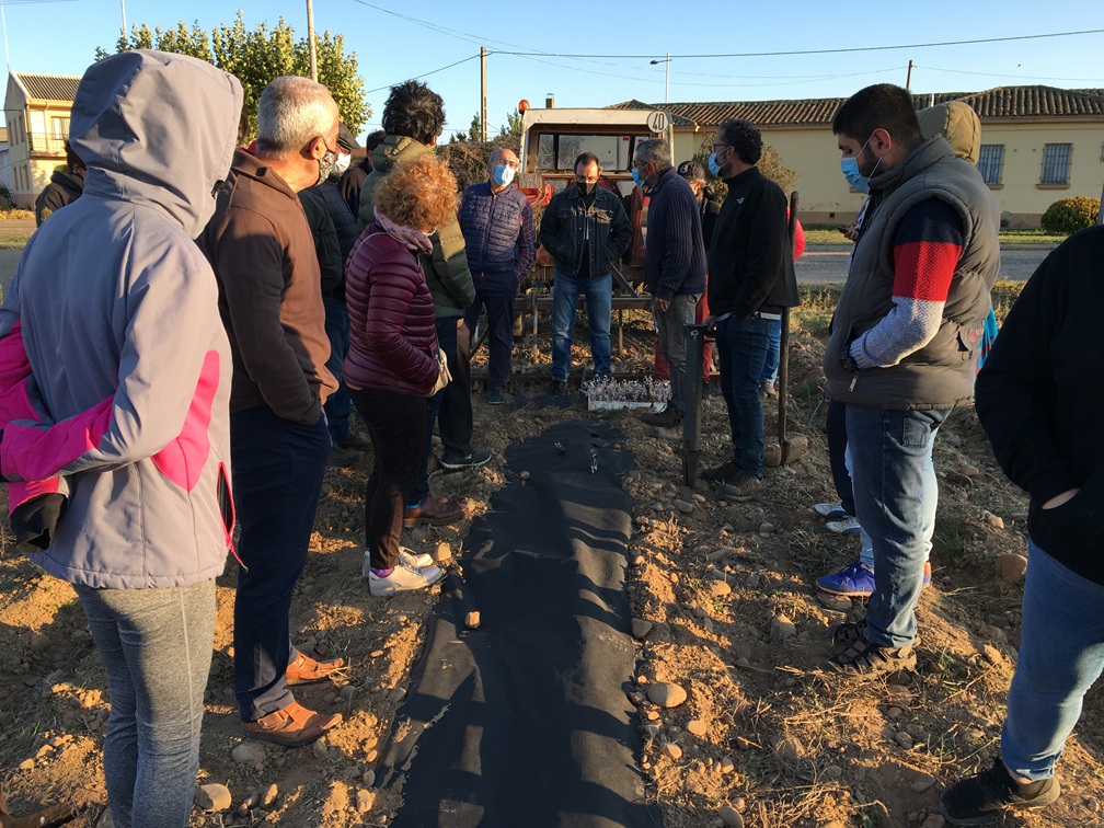 Curso Agricultura 2020